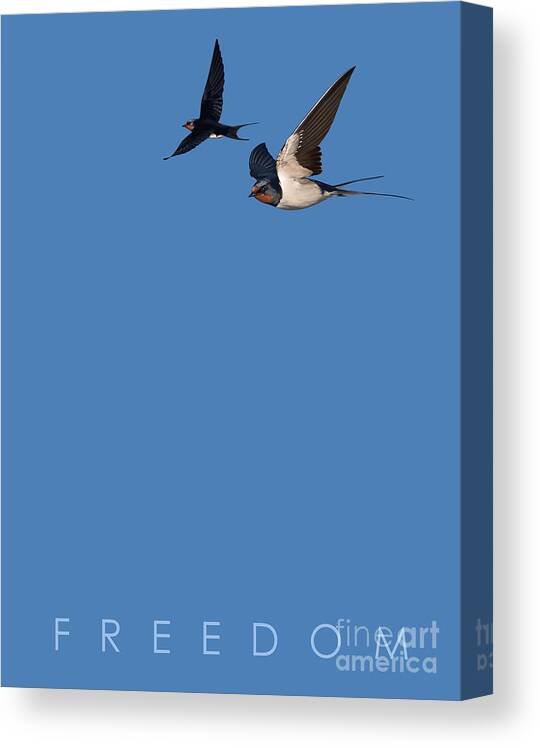 Illustration Canvas Print featuring the drawing Blue Series 002 Freedom by Rob Snow