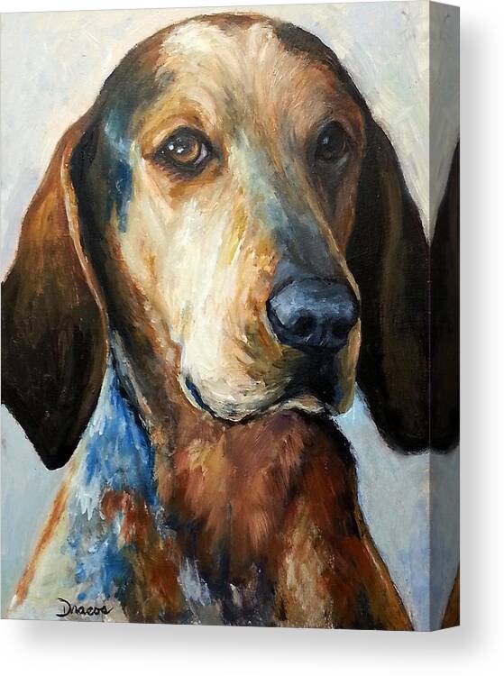 Bluetick Coonhound Canvas Print featuring the painting Bluetick Coonhound by Dottie Dracos