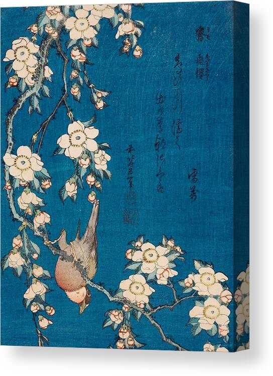 1834 Canvas Print featuring the painting Bullfinch and Weeping Cherry by Katsushika Hokusai