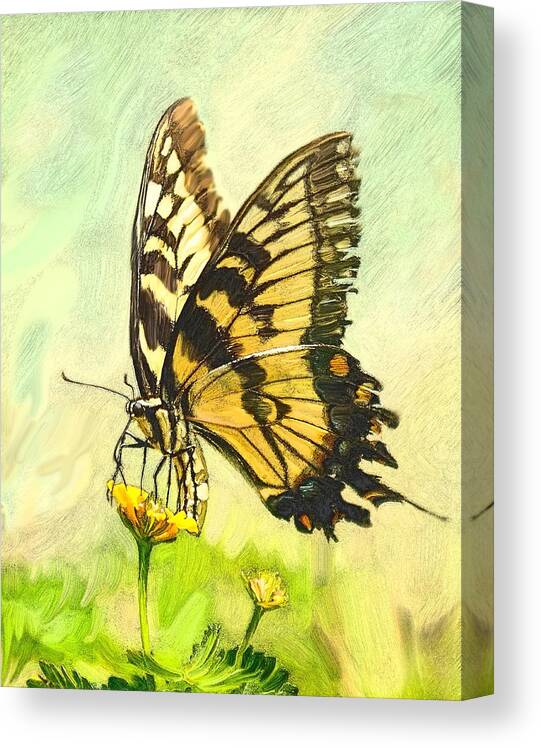 Butterfly Canvas Print featuring the photograph Butterfly Collection by Pete Rems