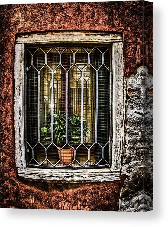 Flower Canvas Print featuring the photograph Caged Plant by Eye Olating Images