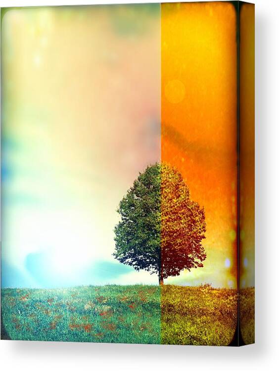 Tree Canvas Print featuring the digital art Change of the Seasons - The Moment when Summer meets with Fall by Lilia S