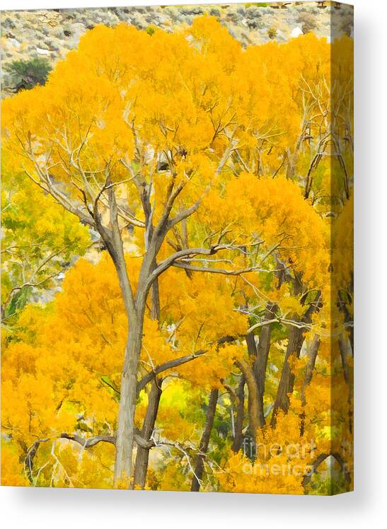 Colorful Tree Canopy Canvas Print featuring the digital art Colorful Canopy by L J Oakes