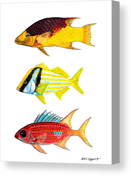 Squirrelfish Canvas Print featuring the painting Colorful Locals by Steve Ozment