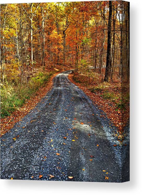 Autumn Canvas Print featuring the photograph Country Super Highway by Lara Ellis