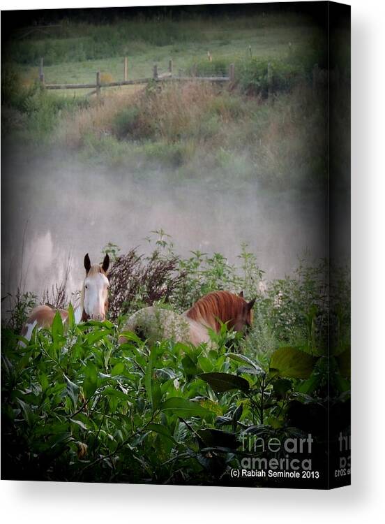 Horses Canvas Print featuring the photograph Cowboy and Pheonix at Blue Horse Rescue by Rabiah Seminole