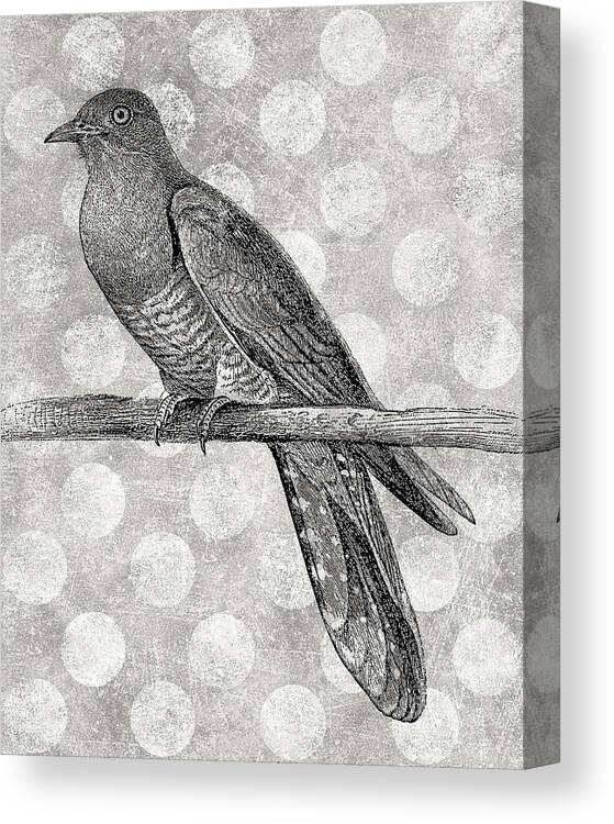 Cuckoo Canvas Print featuring the digital art Gray Bird by Flo Karp