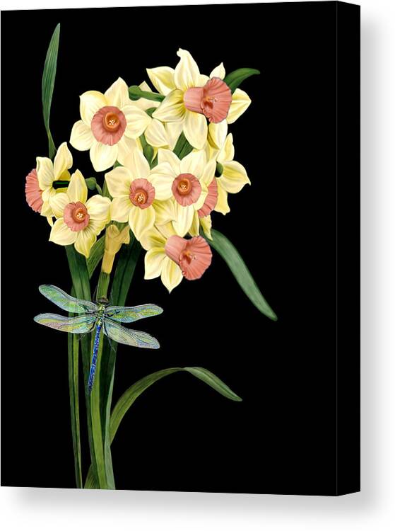 Daffodils Canvas Print featuring the mixed media Daffodils by Anthony Seeker