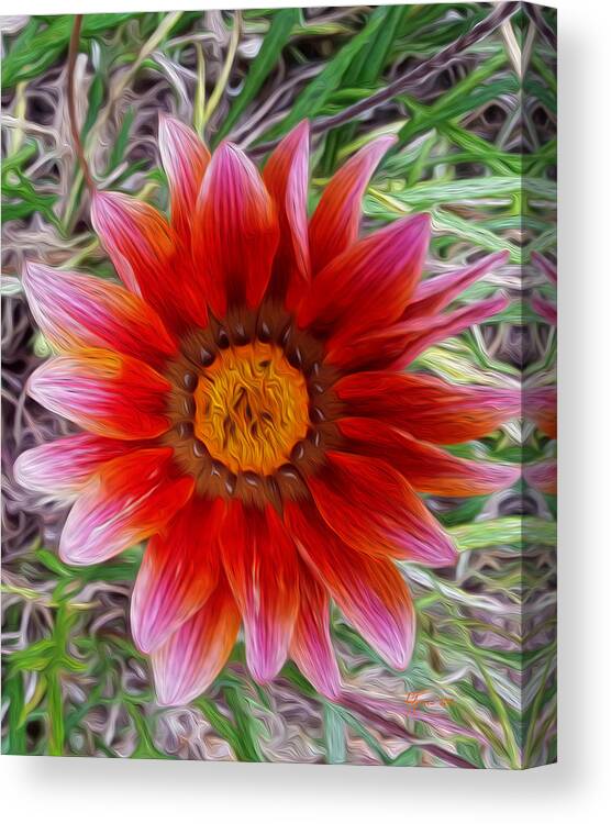 Greeting Cards Canvas Print featuring the digital art Daisy Jane by Vincent Franco