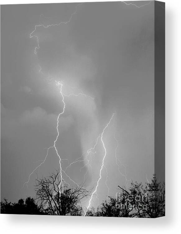 Lightning Canvas Print featuring the photograph Desert Ballet For A Horse by J L Woody Wooden