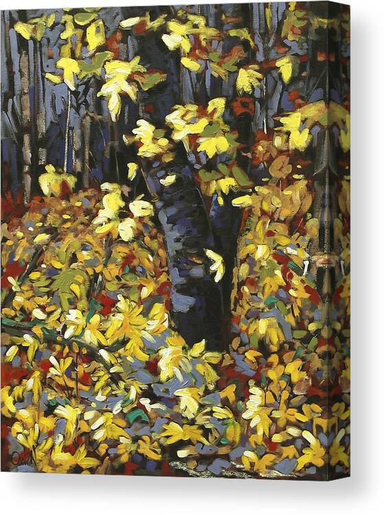 Oil Painting Maple Trees Fall Colors Canvas Print featuring the painting Devonian Maple 2 by Rob Owen