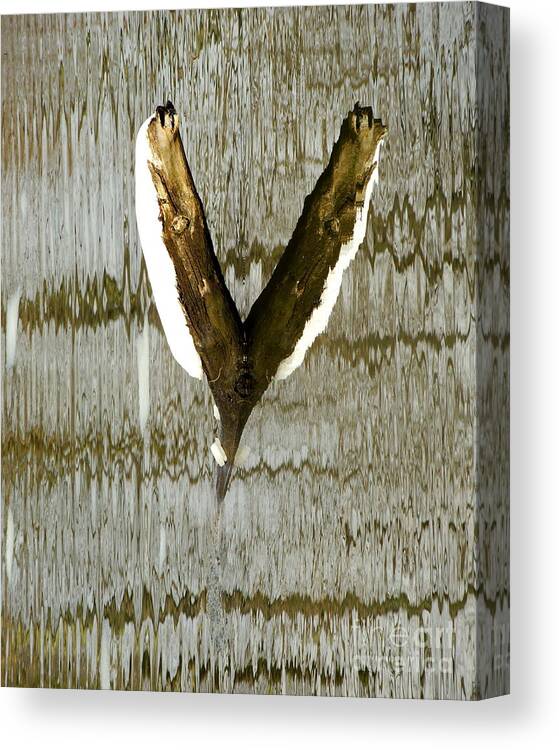 Abstract Canvas Print featuring the photograph Eagle Wings by Marcia Lee Jones