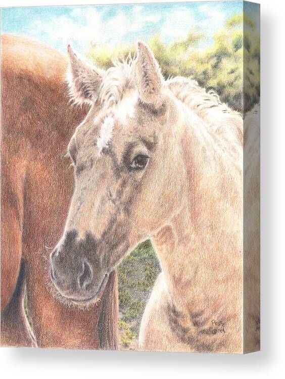 Horse Canvas Print featuring the painting Eeney Meeny Miney Moe by Pris Hardy