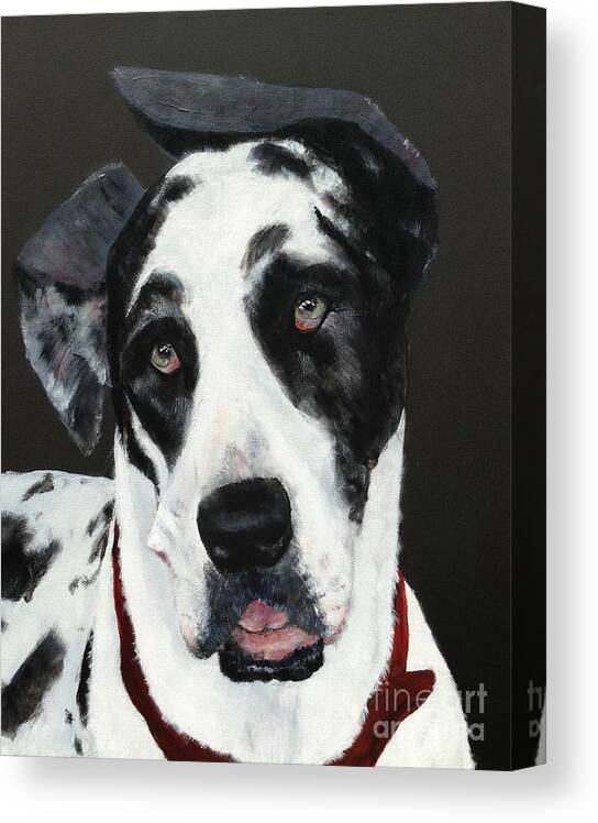 Portrait Of A Harlequin Great Dane Who Has Been Rescued Canvas Print featuring the painting Emma by Mary Lynne Powers