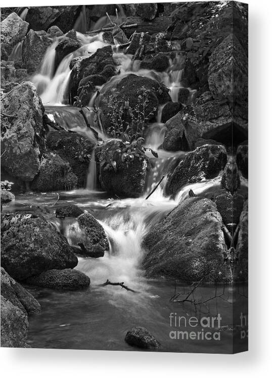 Waterfalls Canvas Print featuring the photograph Falls in Shenandoah by Robert Pilkington