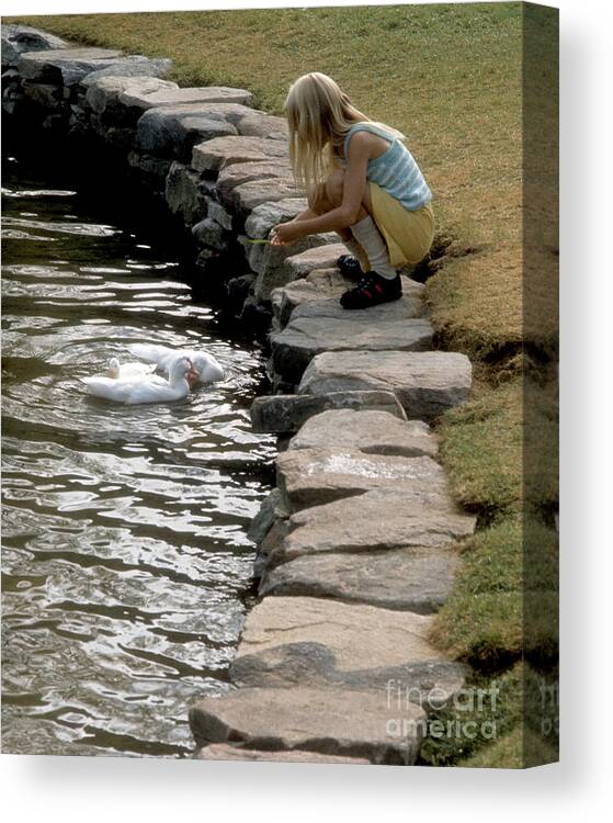 Young Canvas Print featuring the photograph Feeding the Ducks by ELDavis Photography