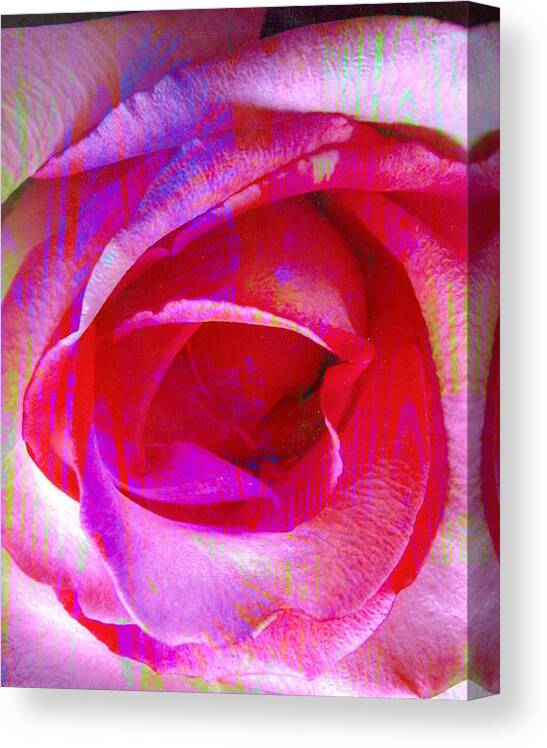  Rose Flower Canvas Print featuring the digital art Feelings by Yael VanGruber