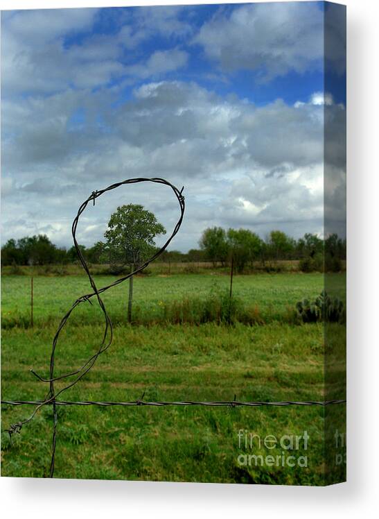 Fenced In Canvas Print featuring the photograph Fenced In by Peter Piatt