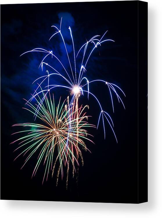 Bill Pevlor Canvas Print featuring the photograph Flash of Brilliance by Bill Pevlor