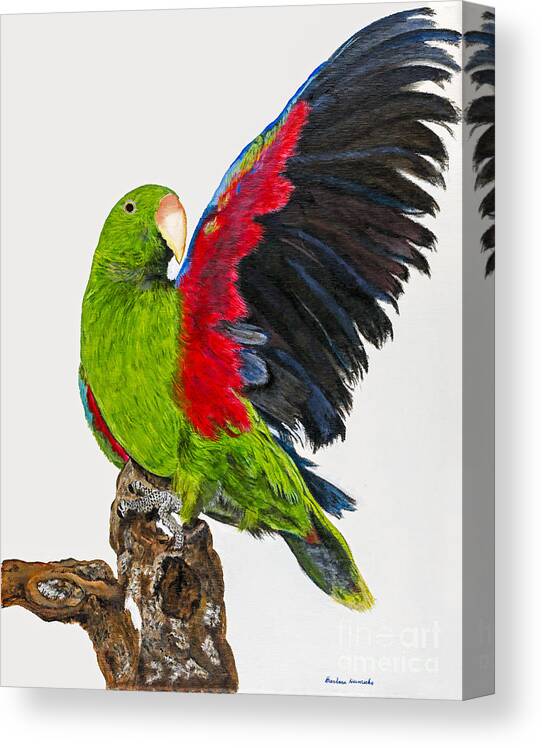 Parrot Canvas Print featuring the painting Flirting Parrot by Barbara Heinrichs by Sheldon Kralstein