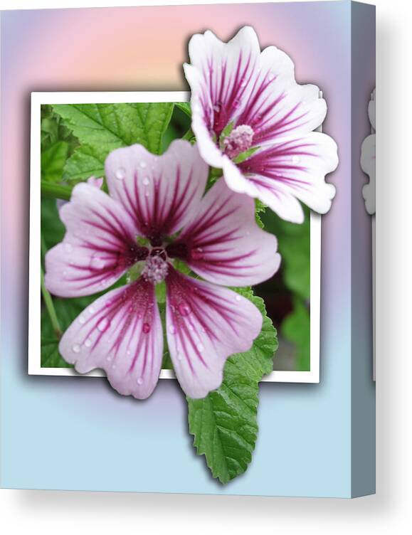 Floral Canvas Print featuring the photograph Flowers Out of Bounds by Barbara McDevitt