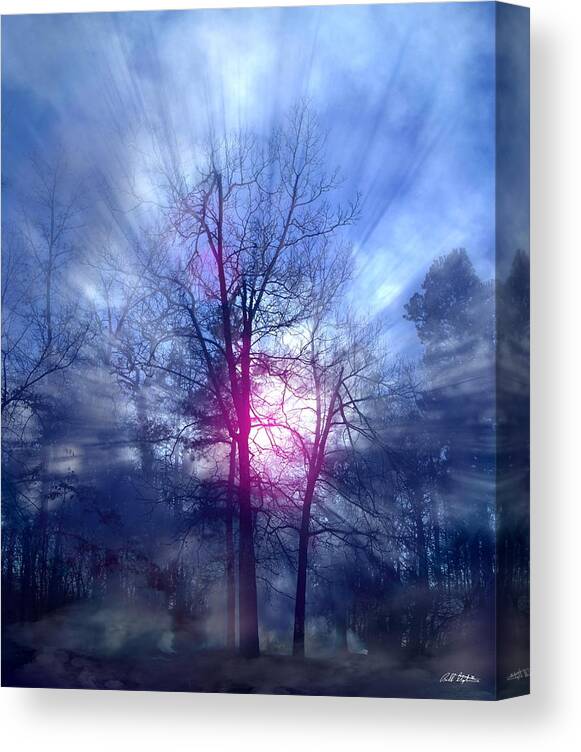 Trees Canvas Print featuring the photograph Foggy Morning Sunrise by Bill Stephens