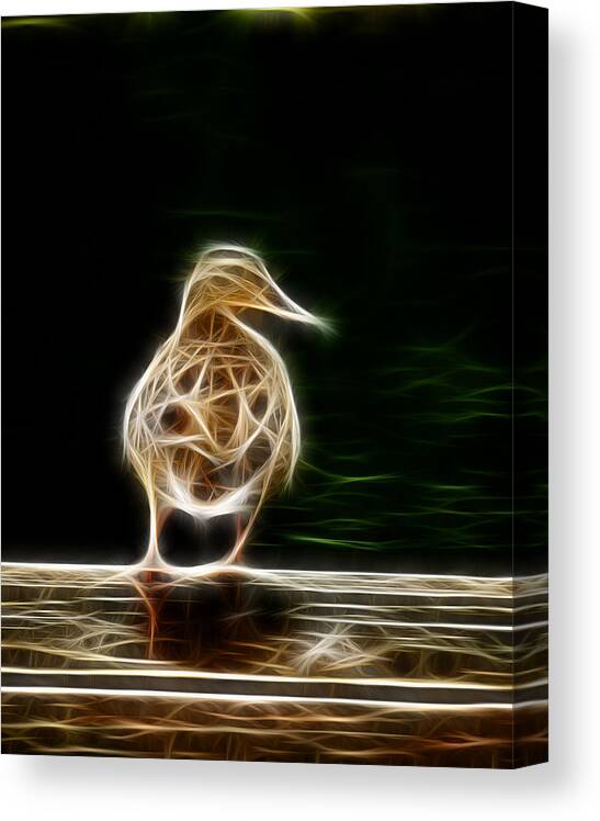 Fractal Canvas Print featuring the photograph Fractal Duck by Prince Andre Faubert