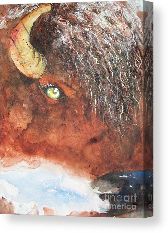 Bison Canvas Print featuring the painting Frosty Bison Breath by Carol Losinski Naylor