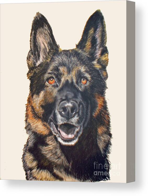 German Shepherd Dog Canvas Print featuring the pastel German Shepherd Ukon by Ann Marie Chaffin