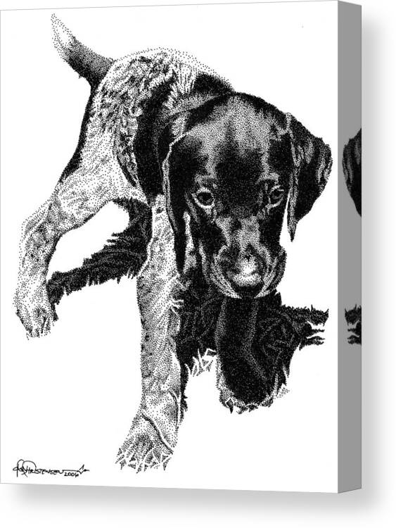 Dog Canvas Print featuring the drawing German Shorthair by Rob Christensen