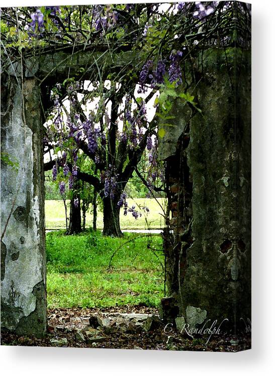 Elmwood Plantation Canvas Print featuring the photograph Ghost Near The River by Cheri Randolph