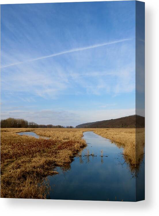 Marsh Canvas Print featuring the photograph Golden January by Azthet Photography