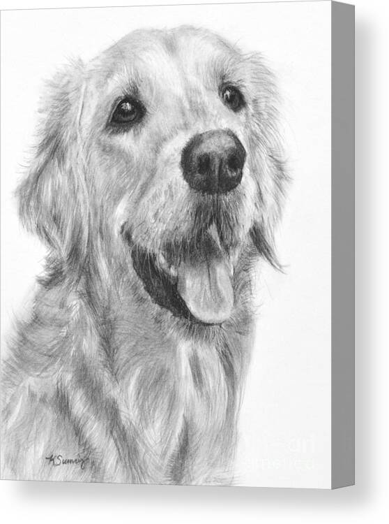 Golden Retriever Canvas Print featuring the drawing Golden Retriever Duncan by Kate Sumners