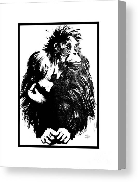 Gorilla Canvas Print featuring the drawing Gorilla ina box by Paul Davenport