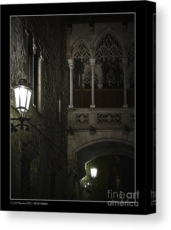 Animals Canvas Print featuring the photograph Gothic Shadows by Pedro L Gili