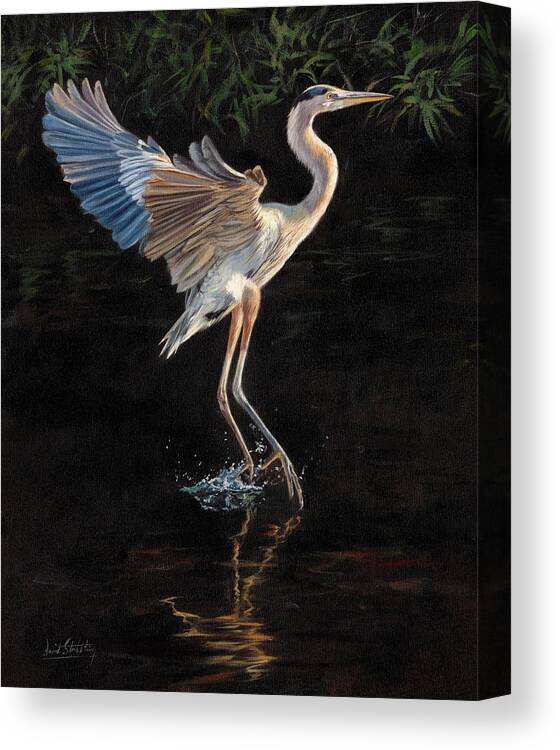 Heron Canvas Print featuring the painting Great Blue Heron by David Stribbling