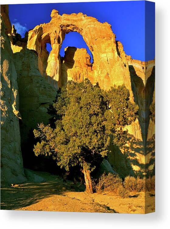 Grosvenor Arch Canvas Print featuring the photograph Grosvenor Arch at Sunset by Ed Riche