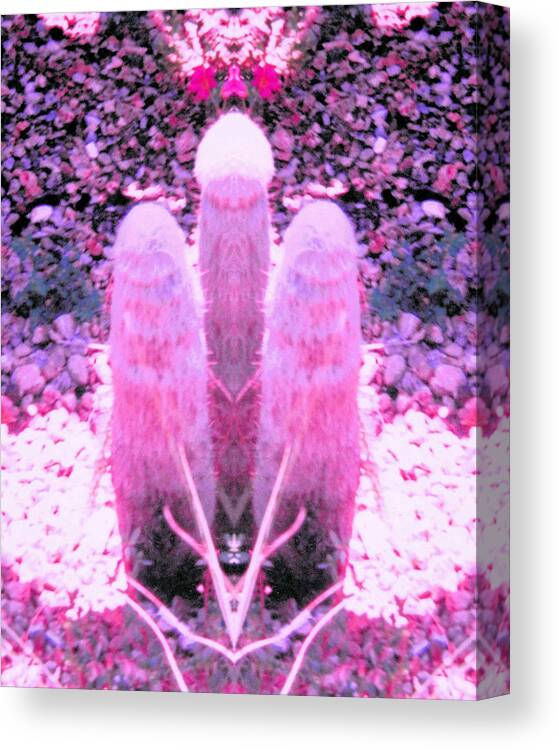 Beautiful Canvas Print featuring the photograph Excited Pink Trio Happy to See You by Belinda Lee