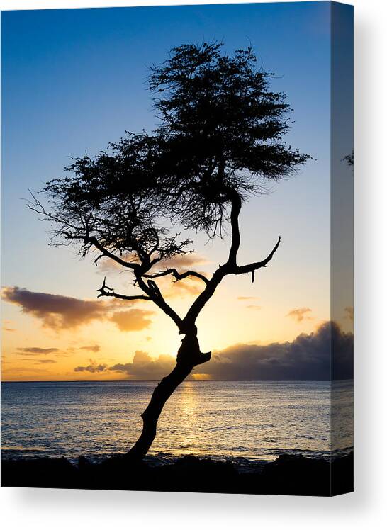 North Shore Canvas Print featuring the photograph Hawaii Sunset by Georgette Grossman