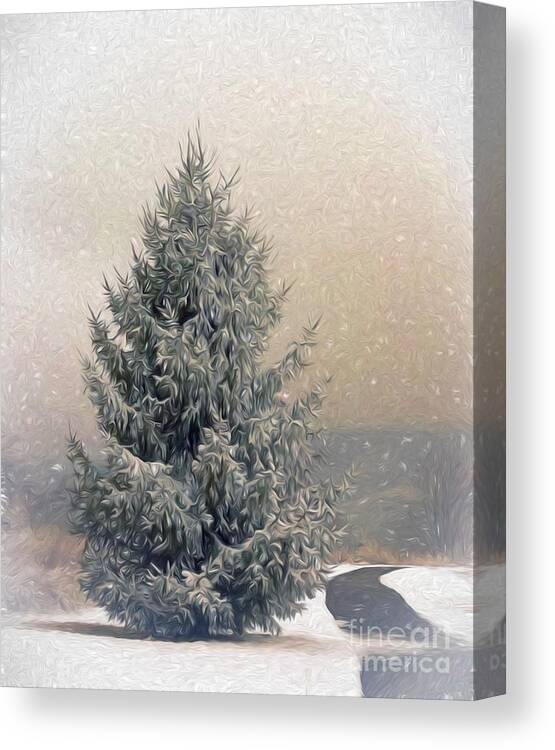 Christmas Tree Canvas Print featuring the photograph Holiday Delight by Kerri Farley