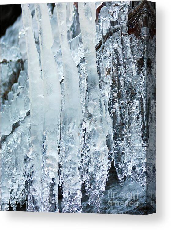 Frost Canvas Print featuring the photograph Icicles 2014 by Karen Adams