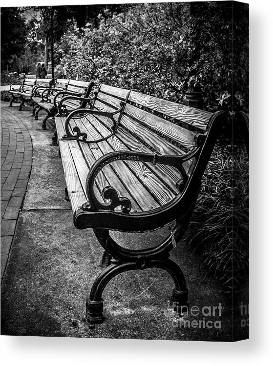 Bench Canvas Print featuring the photograph In The Park by Perry Webster