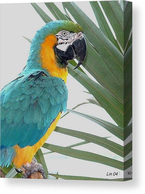 Bird Canvas Print featuring the photograph Islamorada Parrot - of the Macaw Persuasion by Lin Grosvenor