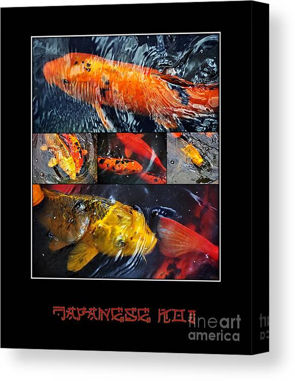 Photography Canvas Print featuring the photograph Japanese Koi by Kaye Menner