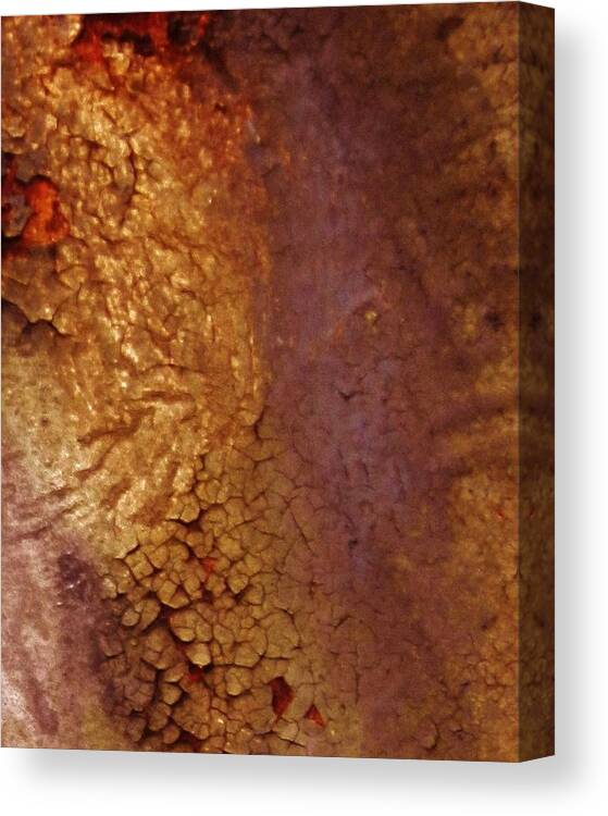 Rust Photographs Canvas Print featuring the photograph Jewel in the Rust by Charles Lucas