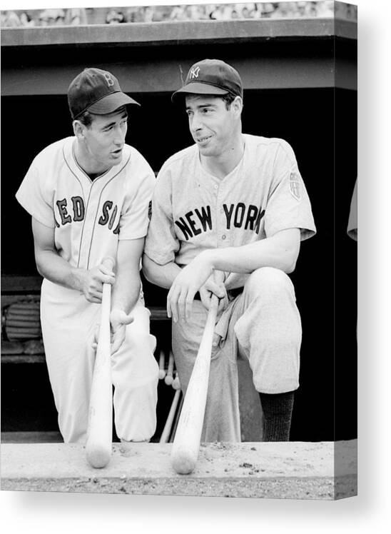 Sports Canvas Print featuring the photograph Joe DiMaggio and Ted Williams by Gianfranco Weiss