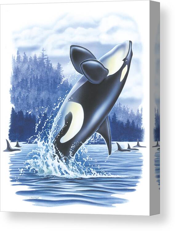 Jon Q Wright Canvas Print featuring the painting Jumping Orca by JQ Licensing