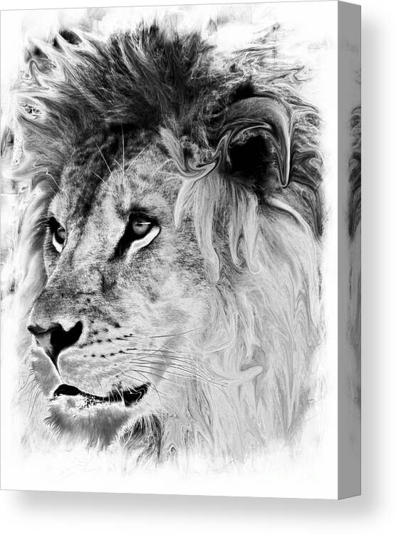 Marcia Lee Jones Canvas Print featuring the photograph Jungle King by Marcia Lee Jones
