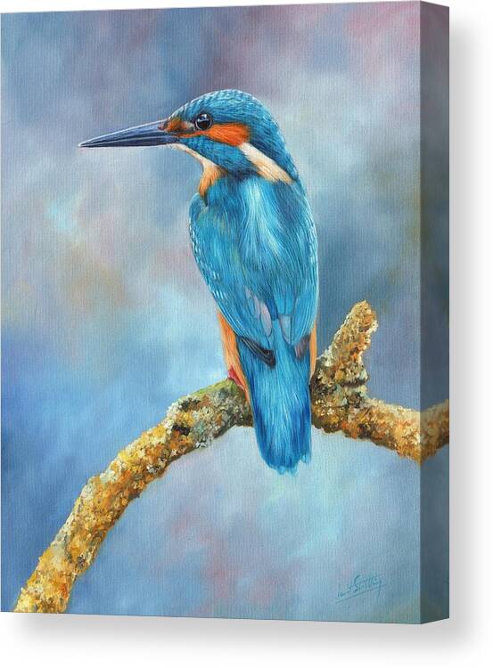 Kingfisher Canvas Print featuring the painting Kingfisher by David Stribbling