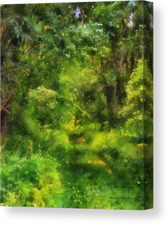 Light Canvas Print featuring the photograph Landscape Photo Art 10 by Thomas Woolworth